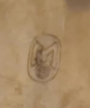 Preview: Mitropa Aufschnitt-Platte