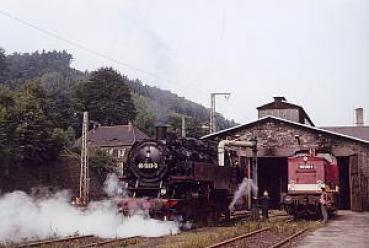 86 1333 und 110 550 Bad Schandau 8/78