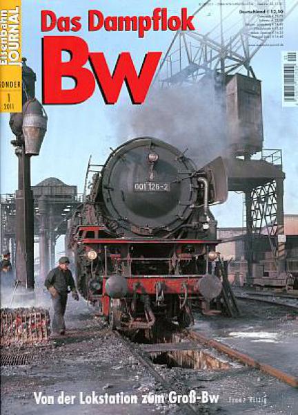 Das Dampflok BW, von der Lokstation zum Groß-BW