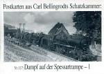 Serie 117 Dampf auf der Spessartrampe - 1